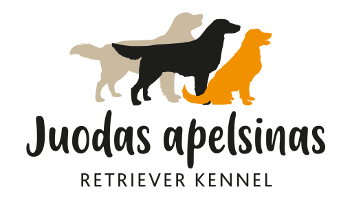 www.juodasapelsinas.lt